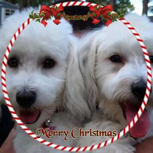 Meet your Posher, Karla